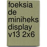 Foeksia de miniheks Display V13 2x6 by Paul van Loon