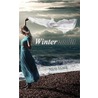 Winternacht door Nico Hoek