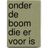 Onder de boom die er voor is