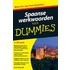 Spaanse werkwoorden voor Dummies, pocketeditie