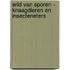 Wild van sporen - Knaagdieren en insecteneters