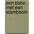 Een balie met een stamboom