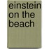 Einstein on the Beach