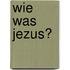 Wie was Jezus?