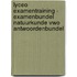 Lyceo Examentraining - Examenbundel Natuurkunde VWO Antwoordenbundel