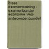 Lyceo Examentraining - Examenbundel Economie VWO Antwoordenbundel