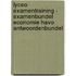Lyceo Examentraining - Examenbundel Economie HAVO Antwoordenbundel