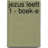 Jezus leeft 1 - Boek-e by Desodt