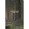 Carpe Diem juist nu! door Yvette Den Hartog