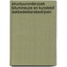 Structuuronderzoek bitumineuze en kunststof dakbedekkersbedrijven by W.D.M. van der Valk