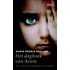Het dagboek van Aram