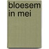 Bloesem in Mei