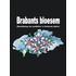 Brabants bloesem