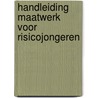 Handleiding maatwerk voor risicojongeren door Vita Los