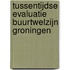 Tussentijdse evaluatie buurtwelzijn Groningen