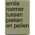 Emile Roemer tussen pieken en peilen