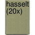 Hasselt (20x)