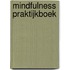 Mindfulness praktijkboek
