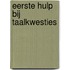 Eerste hulp bij taalkwesties