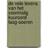 De vele levens van het voormalig kuuroord Laag-Soeren
