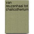 Van reuzenhaai tot Chalicotherium