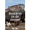 Bentleys in de steppe by Marona van den Heuvel