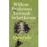 Een wak in het kroos door Willem Brakman