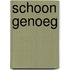 Schoon genoeg