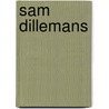 Sam Dillemans door Luc Vanackere