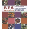 Bes boven bes by Ria Loohuizen