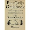Grijsboek of De nagelaten bekentenissen van Raoul Chapkis door Hugo Brandt Corstius