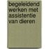 Begeleidend werken met assistentie van dieren