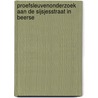 Proefsleuvenonderzoek aan de Sijsjesstraat in Beerse door Stephan Delaruelle