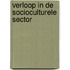 Verloop in de socioculturele sector