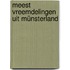 Meest vreemdelingen uit Münsterland