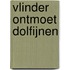 Vlinder ontmoet dolfijnen