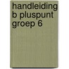 HANDLEIDING B PLUSPUNT GROEP 6 door Onbekend