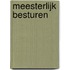 MEESTERLIJK BESTUREN