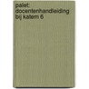 PALET: DOCENTENHANDLEIDING BIJ KATERN 6 by Unknown