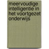 MEERVOUDIGE INTELLIGENTIE IN HET VOORTGEZET ONDERWIJS door B. van Gils