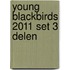 YOUNG BLACKBIRDS 2011 SET 3 DELEN