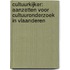 CULTUURKIJKER: AANZETTEN VOOR CULTUURONDERZOEK IN VLAANDEREN