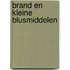 BRAND EN KLEINE BLUSMIDDELEN