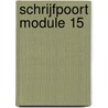 SCHRIJFPOORT MODULE 15 door Erik Billiaert