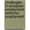 CHALLENGES IN EUROPEAN EMPLOYMENT RELATIONS: EMPLOYMENT door R. Blanpain