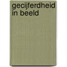 GECIJFERDHEID IN BEELD by K. Hoogland