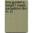 HOE PUNITIEF IS BELGIË? (REEKS PANOPTICON LIBRI, NR. 2)