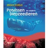 Potvissen en andere diepzeedieren by Sally Morgan