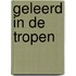 Geleerd in de tropen