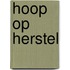 Hoop op herstel